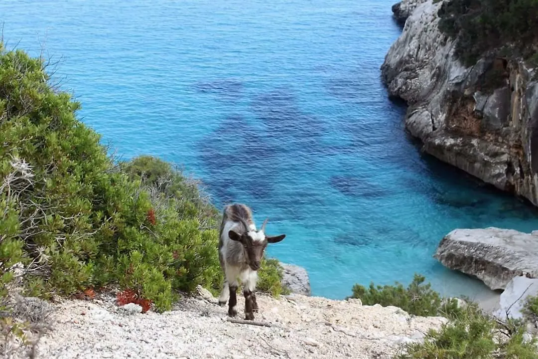 Sa Dommu E Mare Villa Santa Maria Navarrese Italy